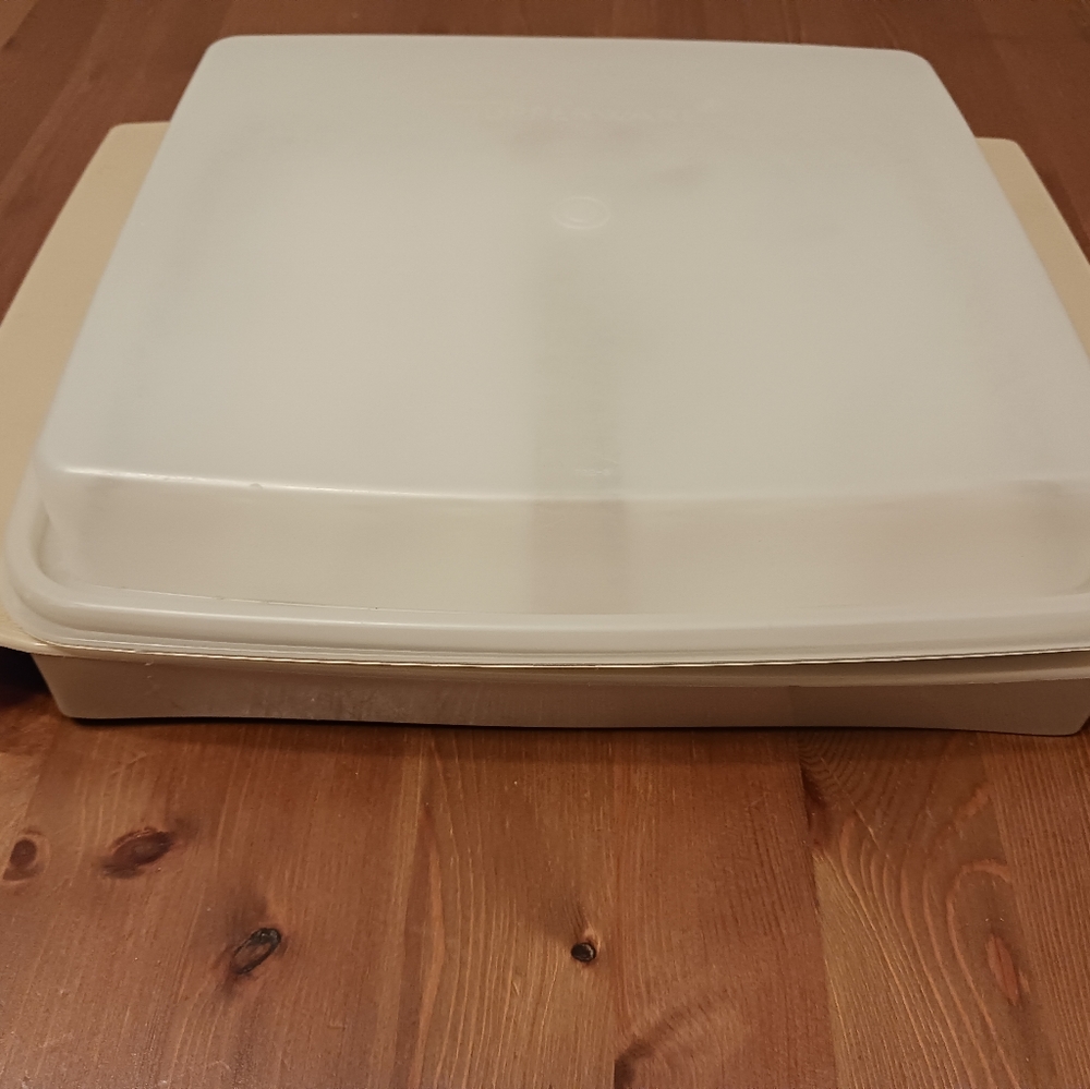 Tupperware  Deviled Egg tray Beige